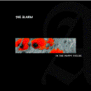 new_album_digi